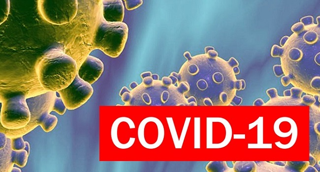  Números de casos de covid 19 no Cariri, Atualizados.