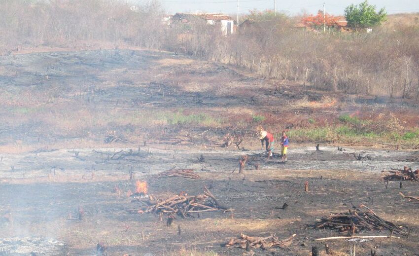Temporada de queimadas se aproxima no Ceará e indicadores atuais crescem 154%