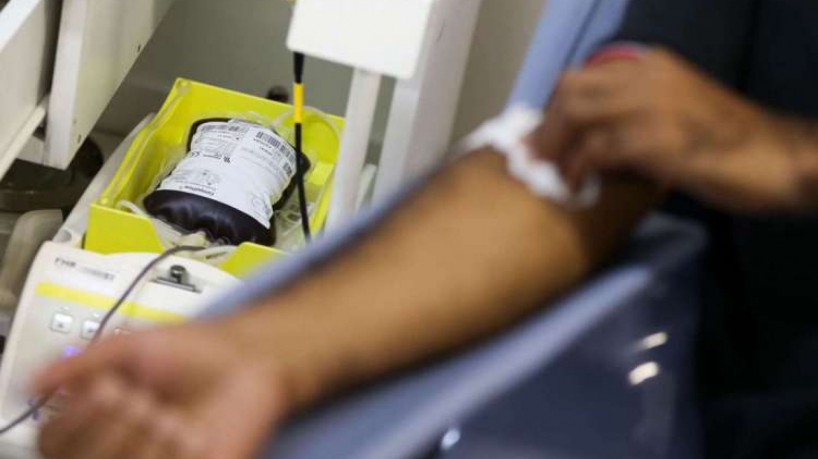 Maioria dos doadores de sangue no Ceará é homem, diz pesquisa do Hemoce