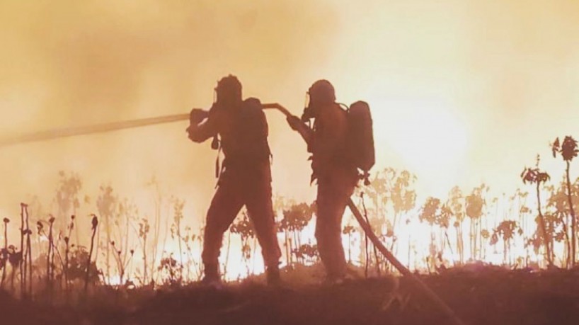 Governo irá contratar brigadistas para combater incêndios florestais no Estado