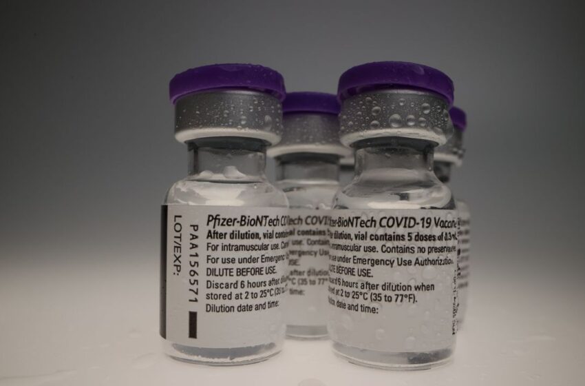 Aplicação da 3º dose da vacina contra Covid inicia em setembro, diz ministro da Saúde