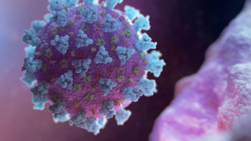  Covid-19: nove casos da variante Delta são registrados em Farias Brito