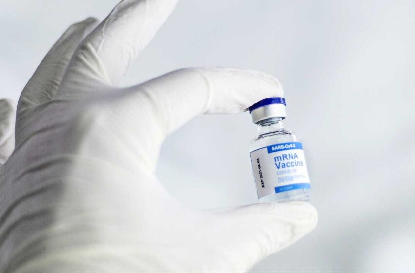 Brasil atinge 91,4 milhões de pessoas imunizadas contra a covid-19