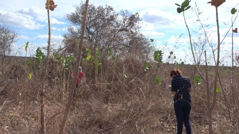 Funceme inicia trabalhos para criação de museu de solos no Ceará