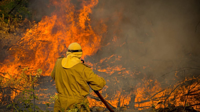  Número de queimadas no Ceará cresce 159%, segundo dados da Enel
