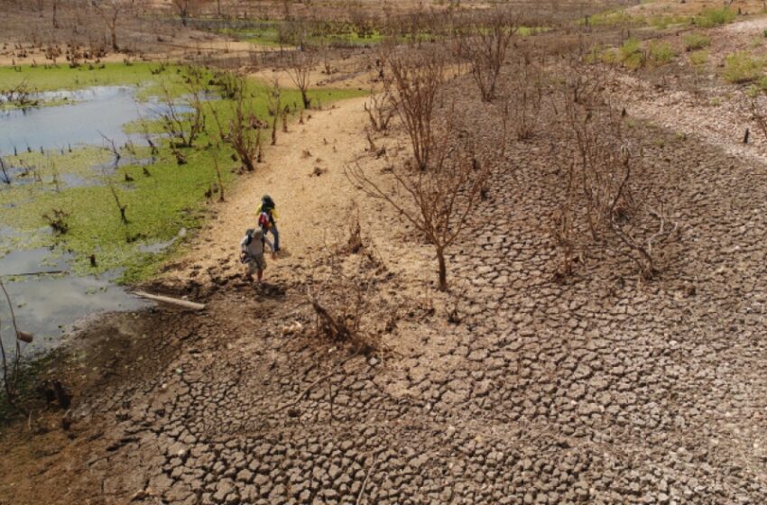  Por falta de chuvas, quatro cidades do Ceará estão em situação de emergência