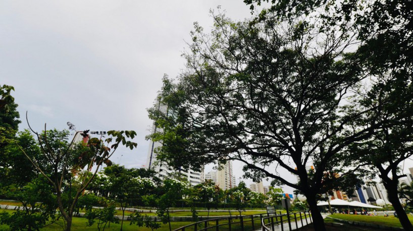  Quase 130 municípios cearenses registram chuvas em 24 horas