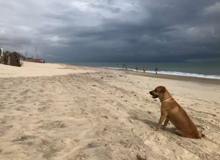  Ceará segue com previsão de chuvas para os próximos dias