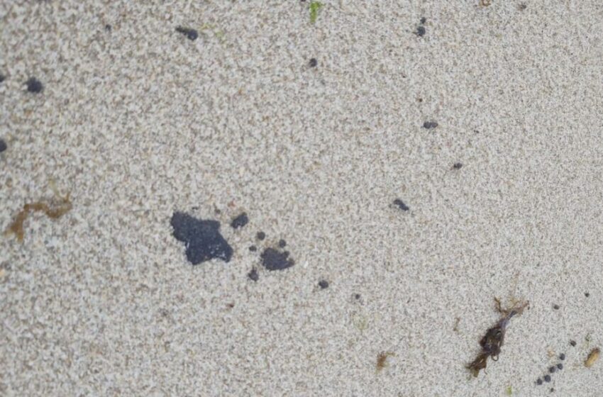  Litoral cearense tem 64 praias com manchas de óleo