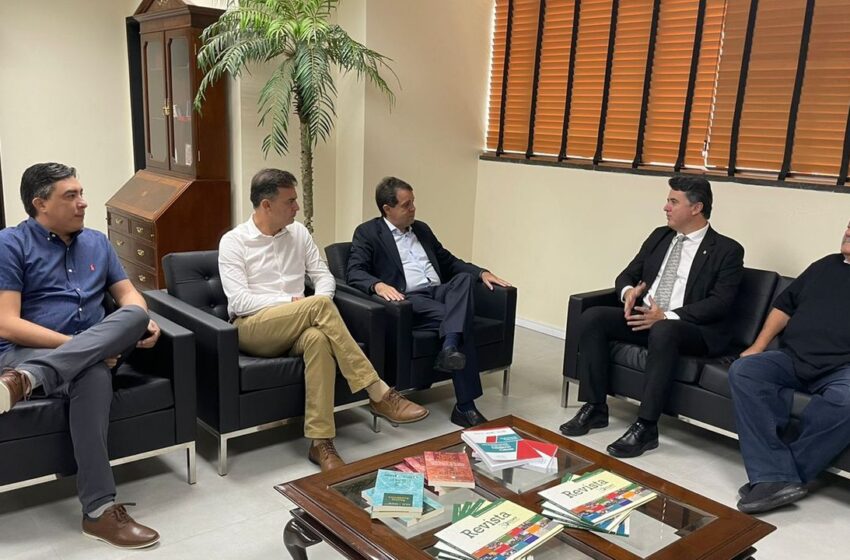  Além de irem à Justiça, deputados e promotores abrem frentes de investigação contra a Enel