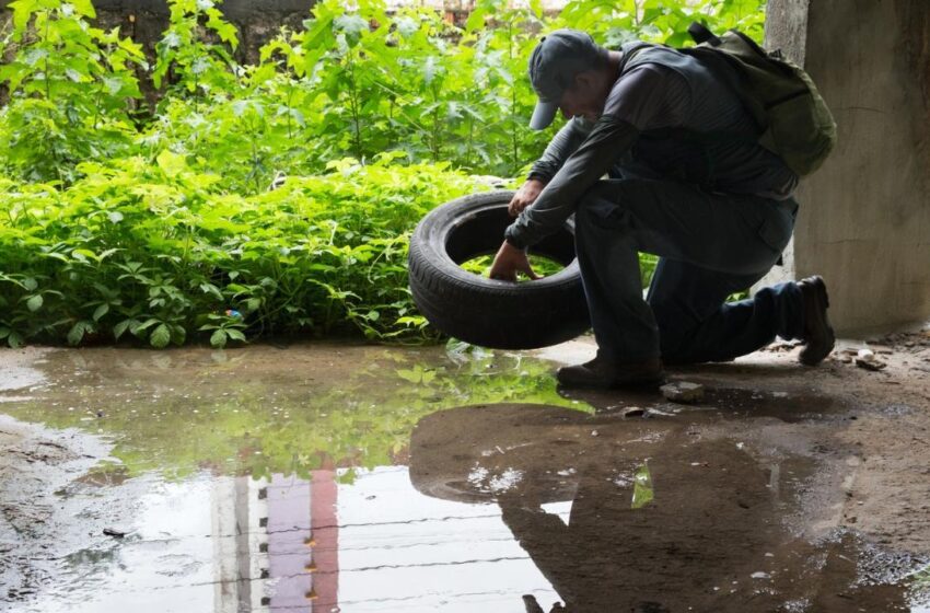  Fortaleza registra primeira morte por chikungunya em 2022