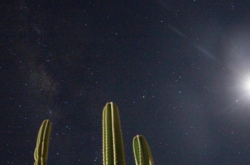  Chuva de meteoros pode ter 17 mil estrelas cadentes por hora vistas nesta semana