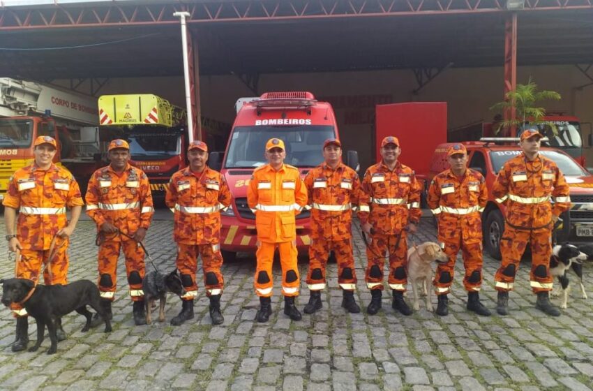  Bombeiros e cães retornam ao Ceará após resgate de vítimas em enchentes no Grande Recife