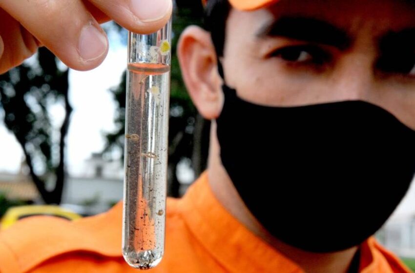  Dengue: Com 585 mortes em 2022, País já tem mais do que o dobro de vítimas do ano passado