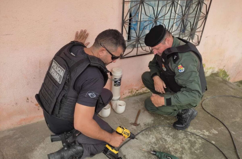  Policiais penais e militares realizam campanha que instala comedouros para cães abandonados em quatro municípios cearenses