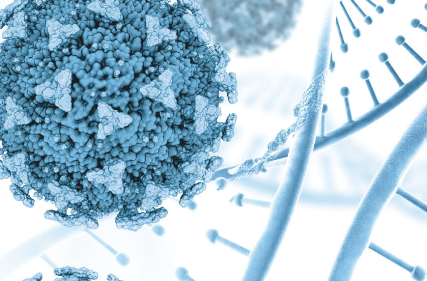  Covid-19: Juazeiro do Norte registra três óbitos em junho