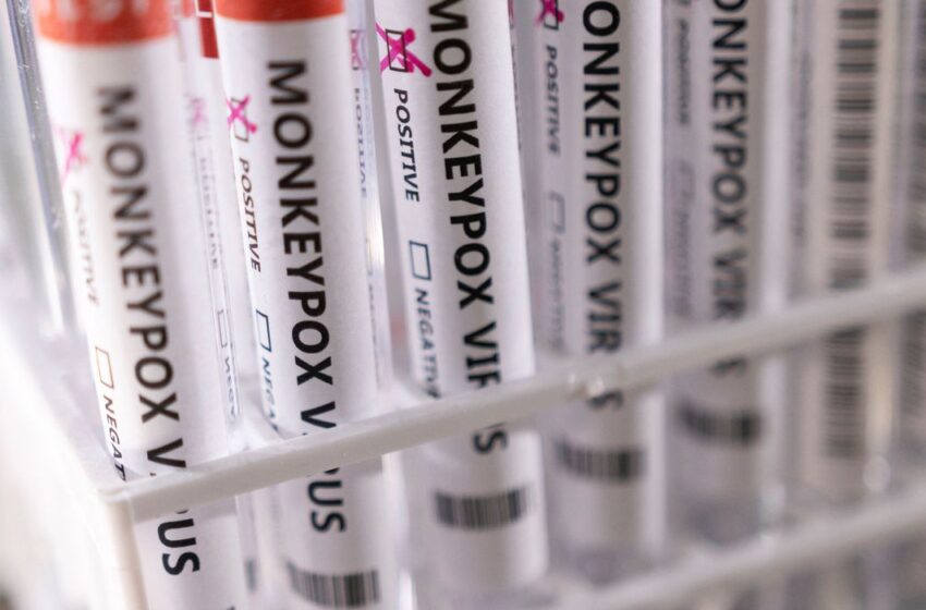  Conheça a varíola dos macacos e previna-se