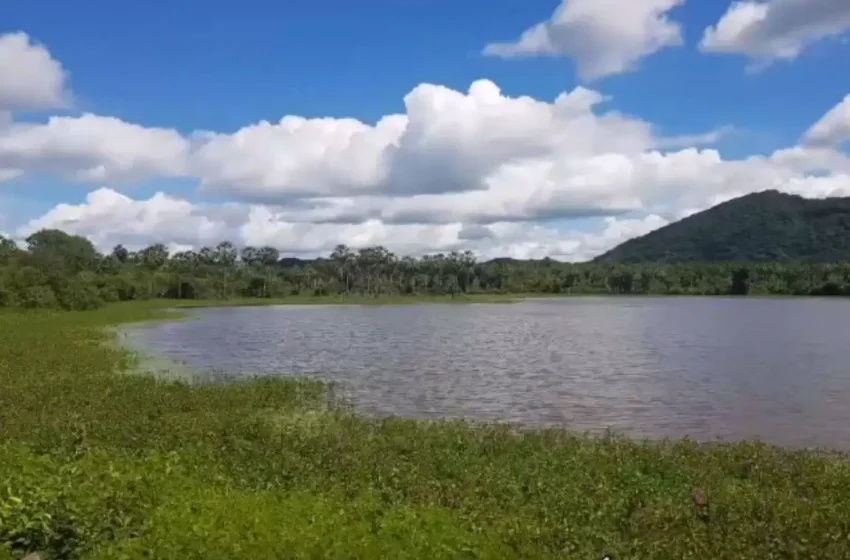  Cariri terá, até o final de 2022, quatro novas áreas de preservação ambiental .