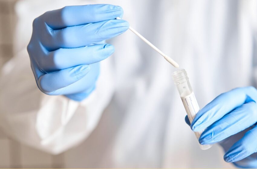  Média de mortes por Covid completa 18 dias em queda no Brasil.