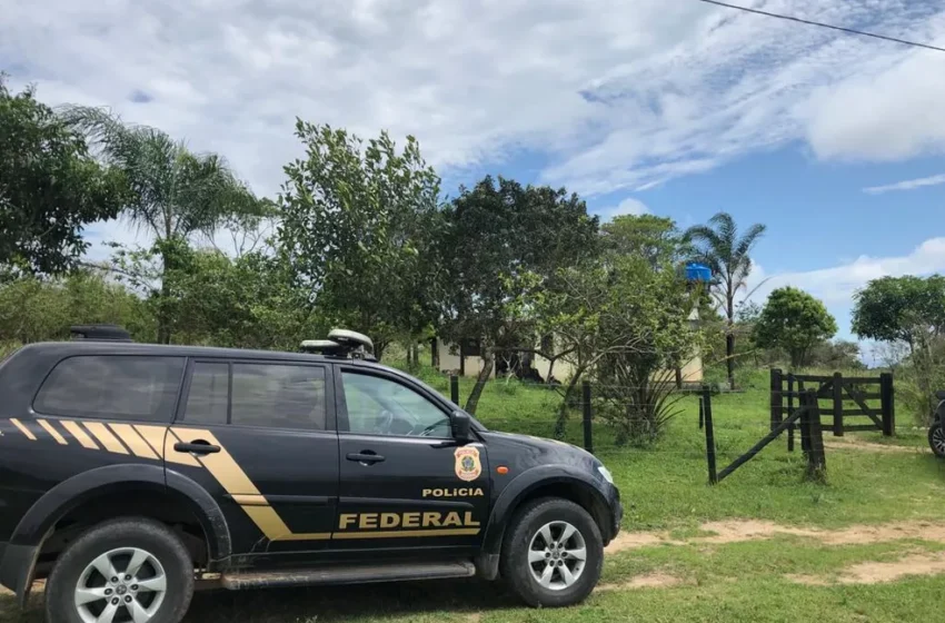  Polícia Federal flagra desmatamento na Floresta Nacional do Araripe.