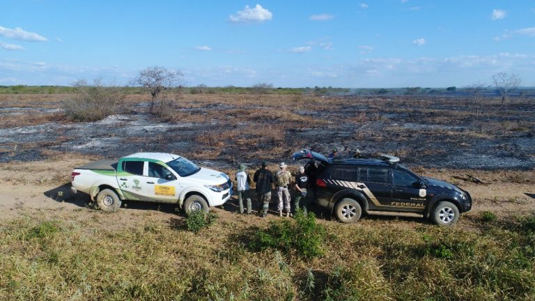  PF flagra desmatamento na Floresta Nacional do Araripe.