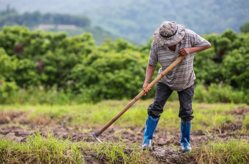  Agricultores caririenses são dispensados do pagamento do boleto do Hora de Plantar.