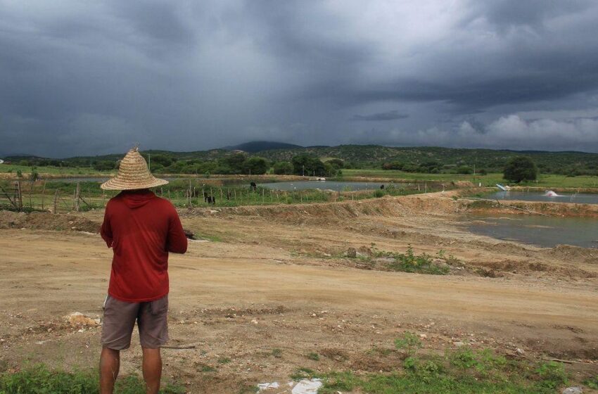  Enfraquecimento do El Niño aumenta chances de chuvas acima da média na próxima quadra.