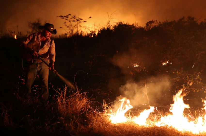  Ceará é o estado com mais foco em queimadas em todo o país, afirma INPE.