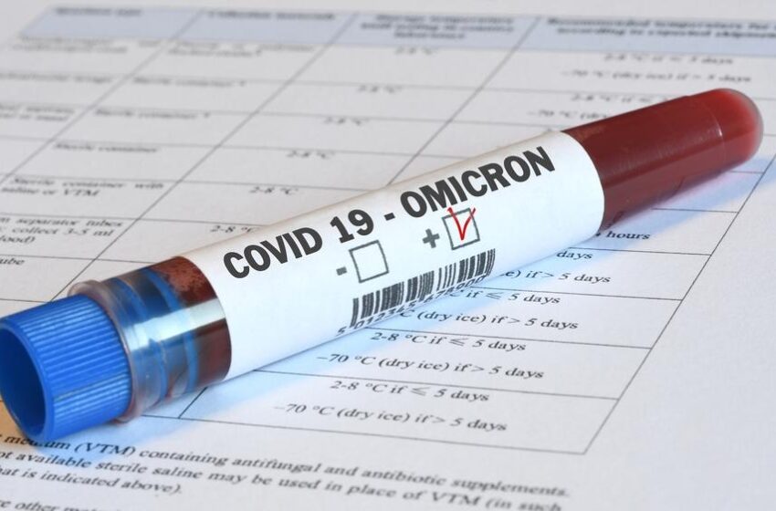  Três casos da subvariante BE.9 da Ômicron, ‘prima’ da BQ.1, são identificados no Ceará.