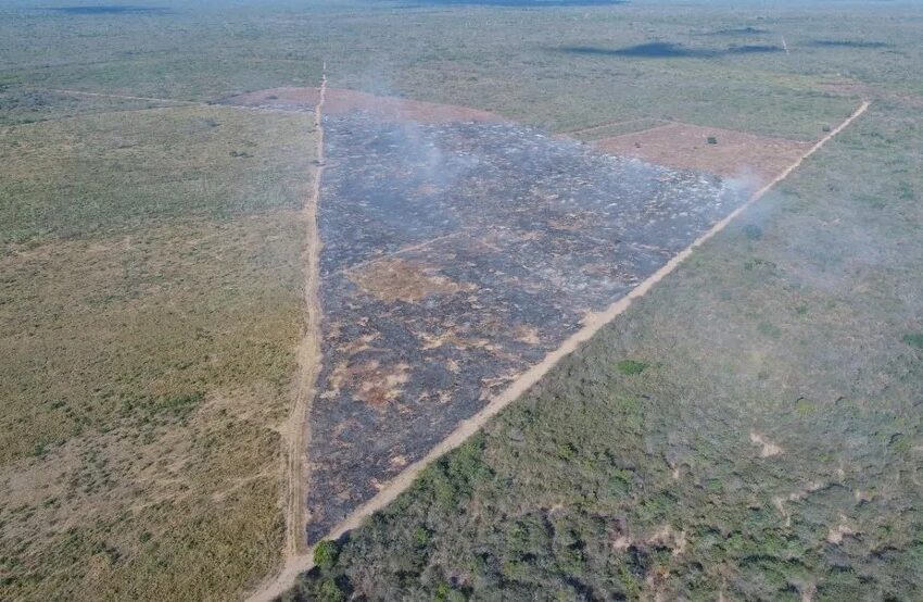  INPE aponta Ceará como o sexto estado com mais focos de queimadas.