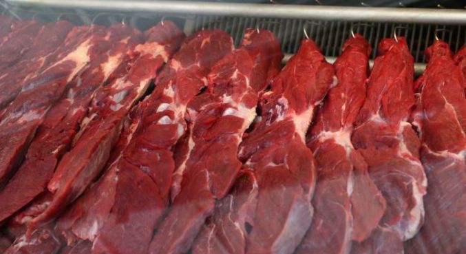  Brasil confirma caso de “vaca louca” no Pará e suspende exportação de carne à China.