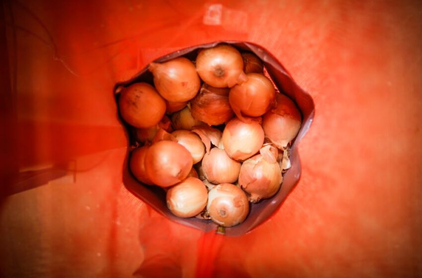  Cebola e tomate têm preços em queda nas Ceasas do País em janeiro.