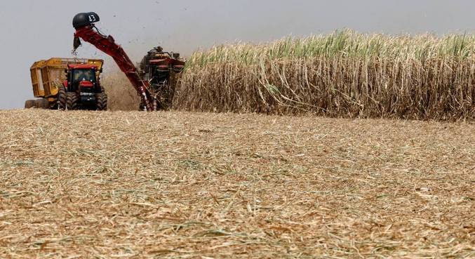  Mercado financeiro vê crescimento maior da economia em 2023 e 2024.