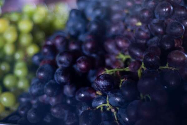  Preço da uva Vitória cai 40% na Ceasa Cariri.