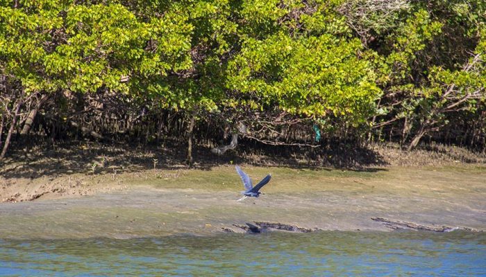 Após quase 120 horas de trabalho, buscas por pescador são suspensas no Rio Coreaú.