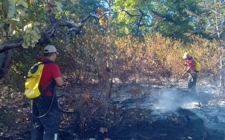  Segundo semestre pode favorecer a ocorrência de incêndios no CE.