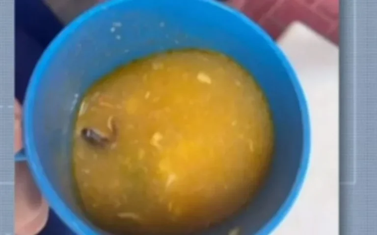  Alunos encontram rã em merenda de escola no Ceará.