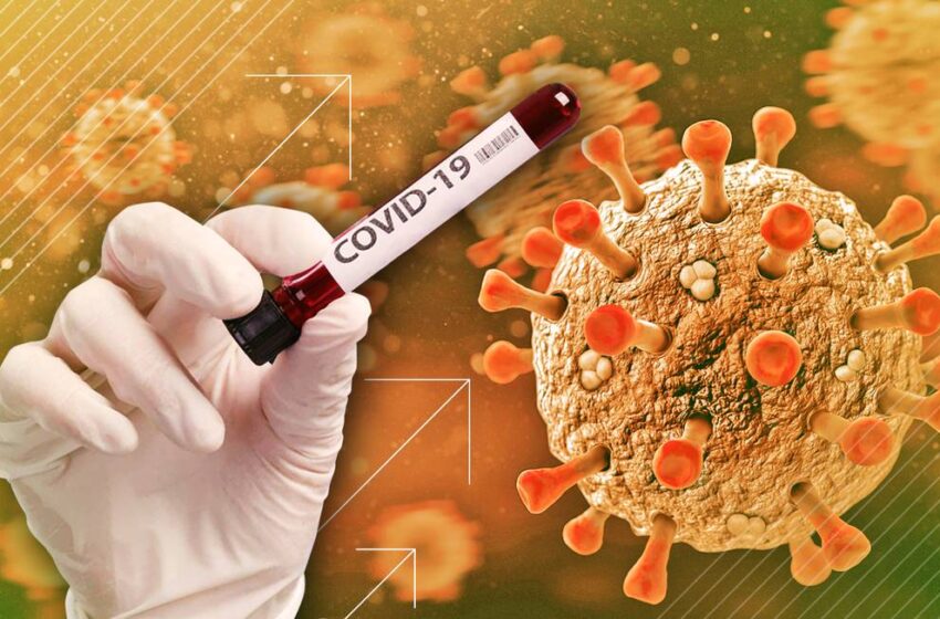  Ceará reforça prevenção após nova variante da covid.