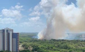  Fortaleza: Incêndio no Parque do Cocó é controlado