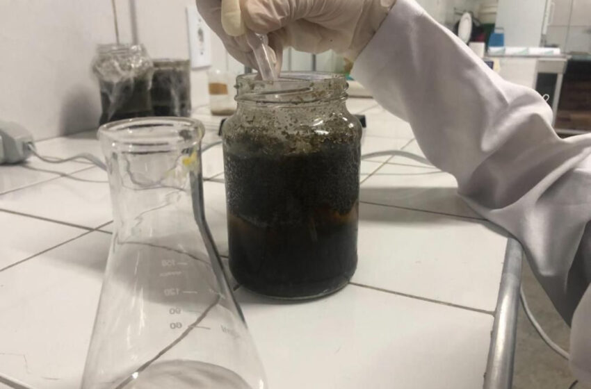  Conservante natural criado por cearense vence prêmio nacional.