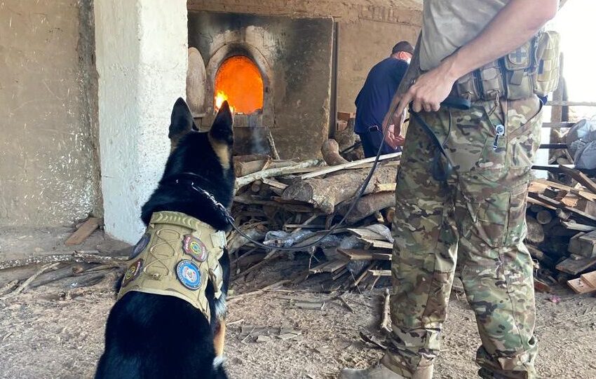  Quase uma tonelada de drogas é incinerada pela Polícia Federal no Ceará.