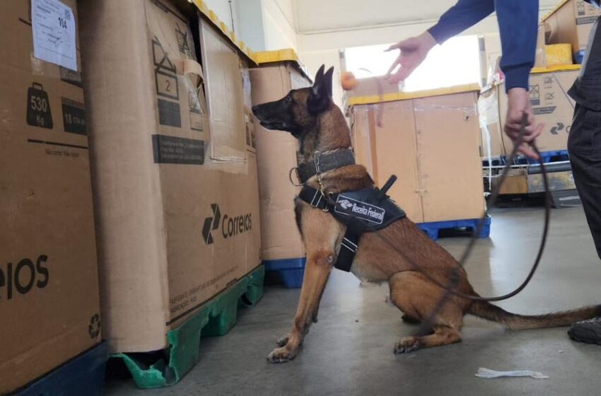  Receita Federal apreende 9 kg de cocaína em encomenda postal.