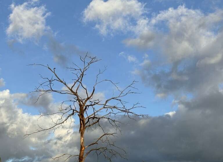  Ceará segue com predomínio de tempo firme em todas as macrorregiões.
