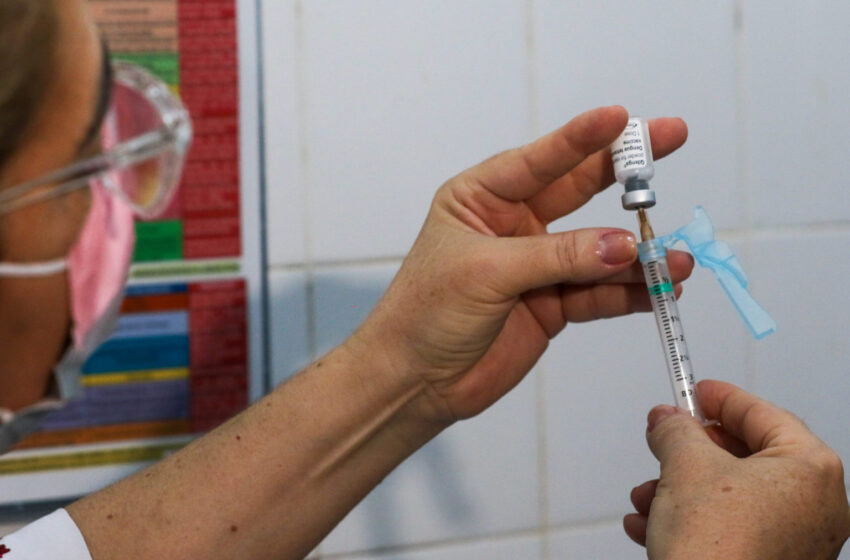  Mais 23 cidades do Ceará receberão vacina contra dengue nesta segunda-feira (1ª).