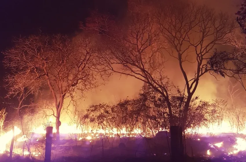  Incêndios atingem diversos estados do Brasil durante o fim de semana.
