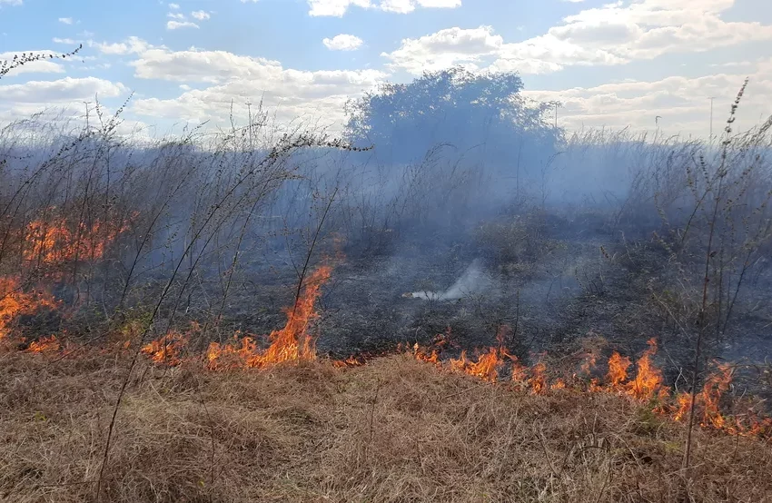 Queimadas e seca deixam Cariri em alerta.