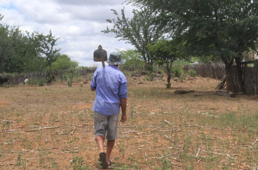 CE registra 24 cidades em alta vulnerabilidade climática, agrícola e social, segundo estudo do Ipece.