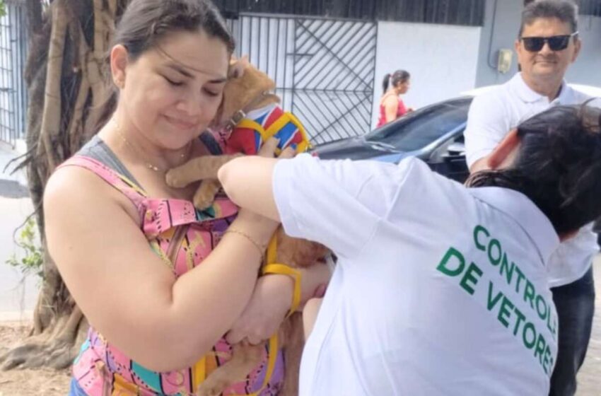 Campanha de vacinação antirrábica segue até dezembro no Ceará.