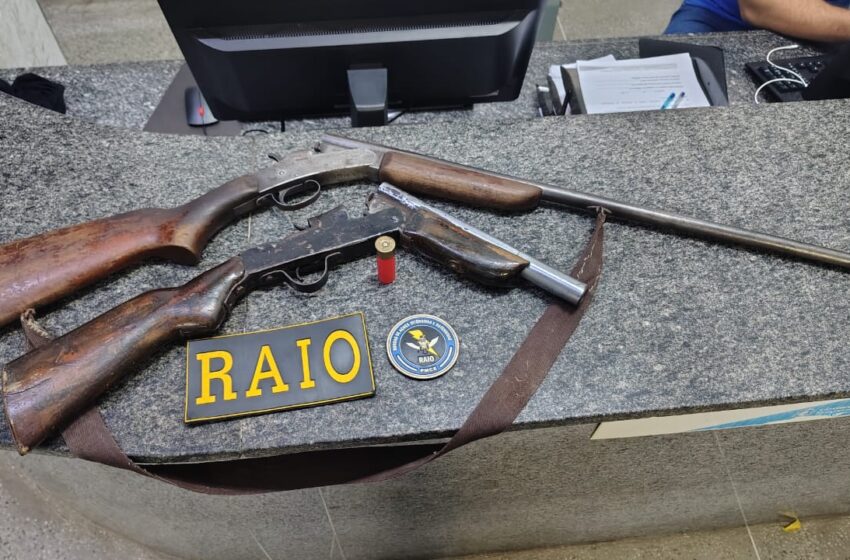Ico: Equipe Raio tira mais duas armas de circulação.